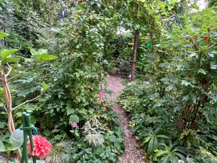  - Grădina 2022 continuare 3