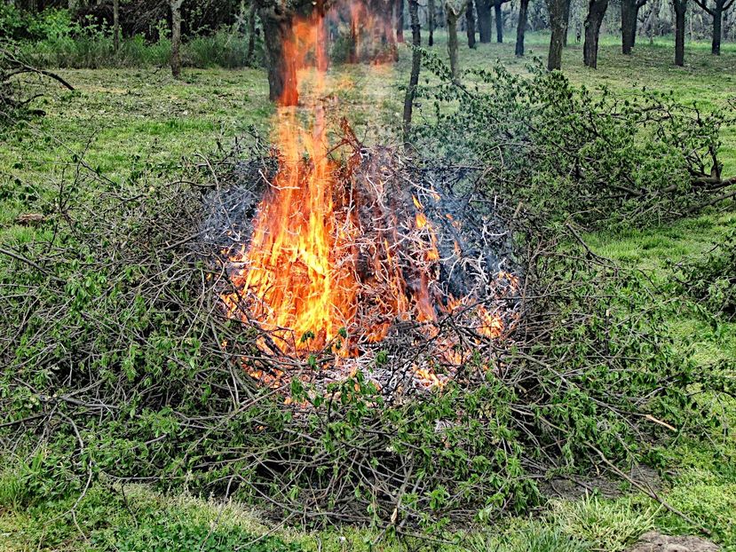 Foc-FIRE - DIVERSE - MISC