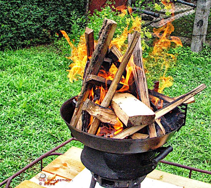 Pregatire gratar-Barbecue in progress - DIVERSE - MISC
