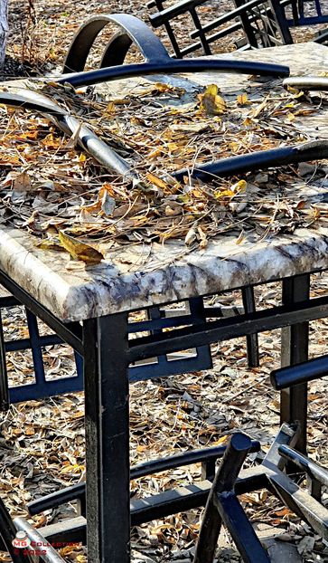 Toamna-Autumn - DIVERSE - MISC