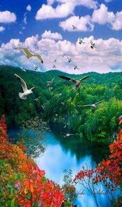  - Romania
