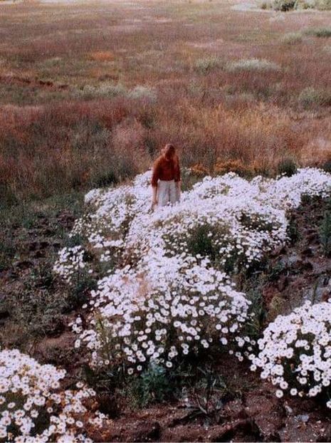  - natura