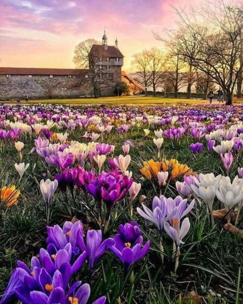  - Romania