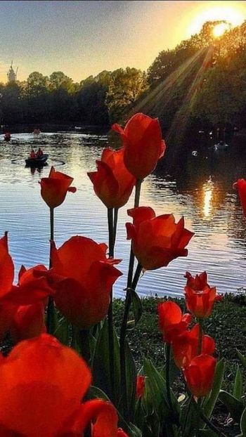  - Romania