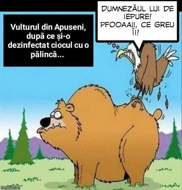  - Bancuri cu Ardeleni
