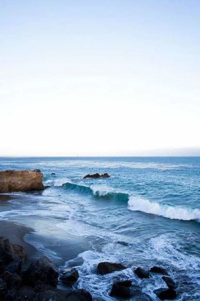  - imagini
