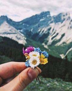  - natura