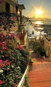  - decor