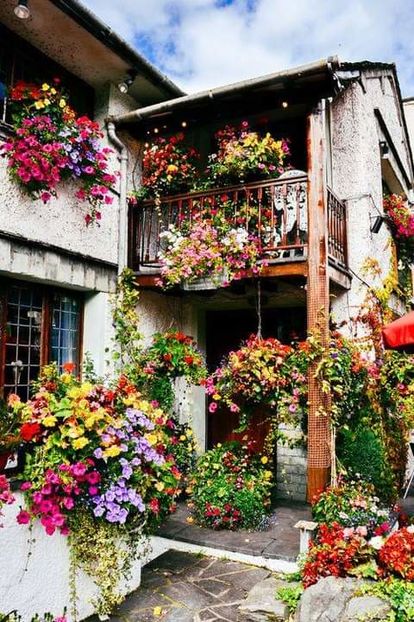  - decor