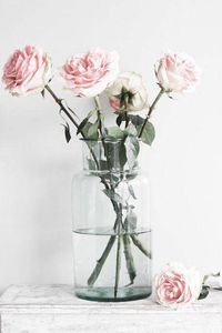  - decor