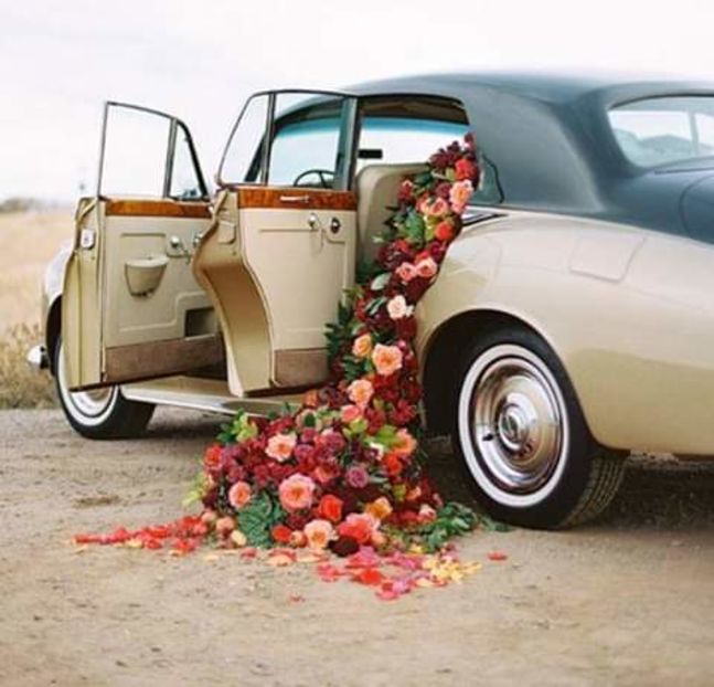 31543808_1933872616902656_2180603635468075008_n-1 - decor