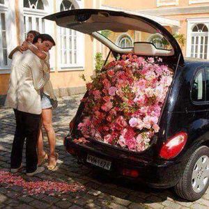  - decor