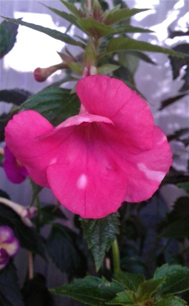 20220823_081641-2 - 000016