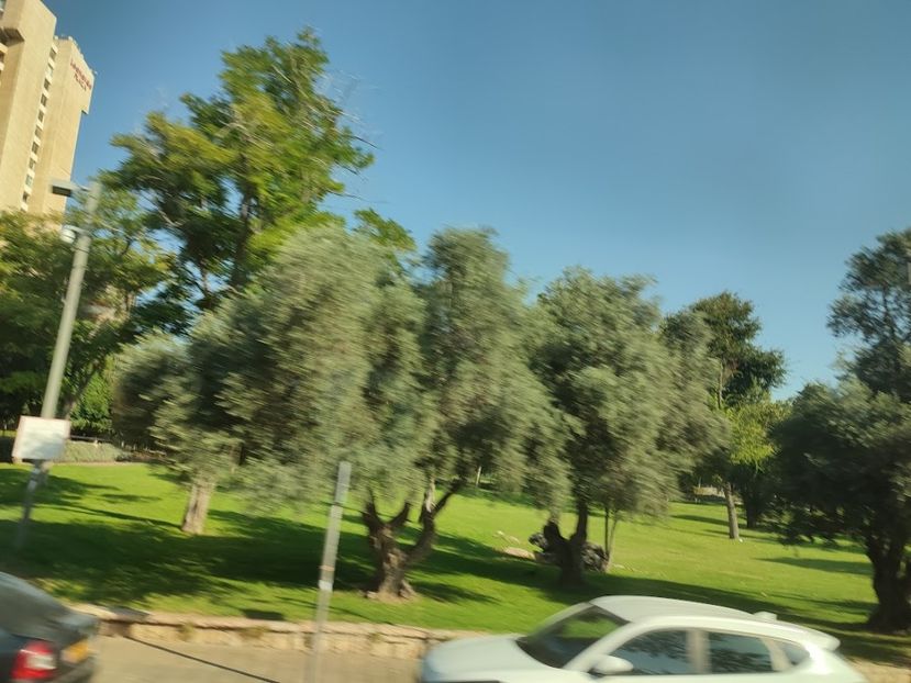  - 2022 - Ierusalim - Yad Vashem - album 2
