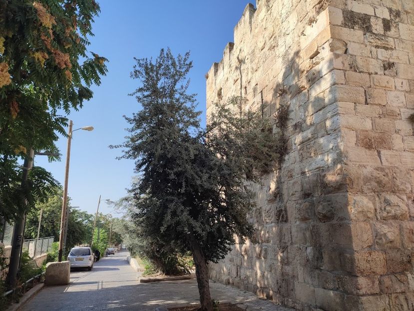  - 2022 - Ierusalim - Yad Vashem - album 2