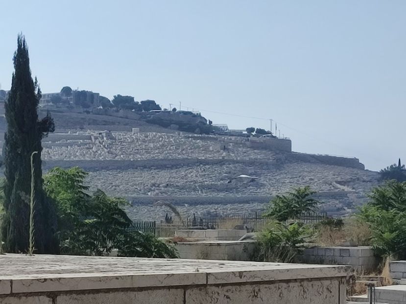  - 2022 - Ierusalim - Yad Vashem - album 2