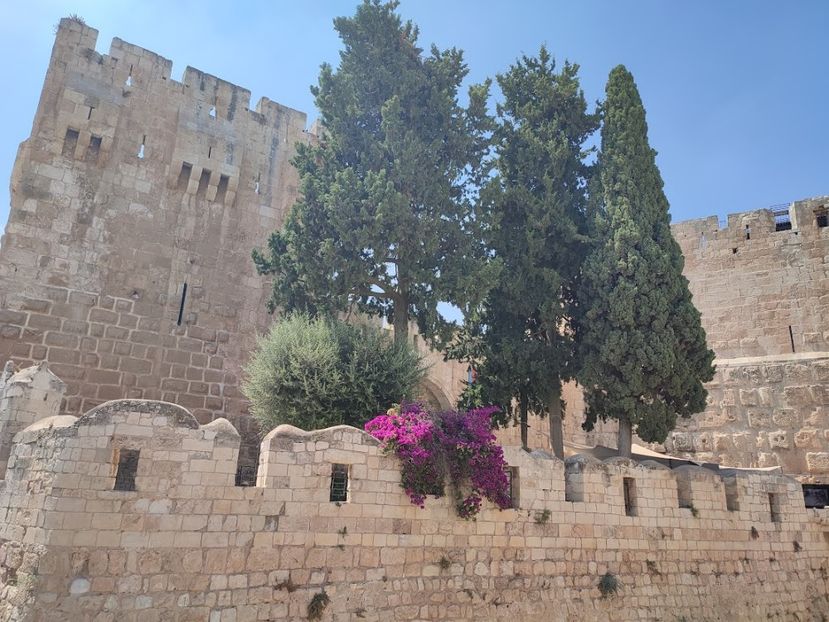  - 2022 - Ierusalim - Yad Vashem - album 2