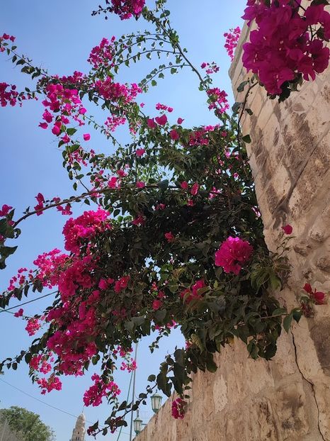  - 2022 - Ierusalim - Yad Vashem - album 2