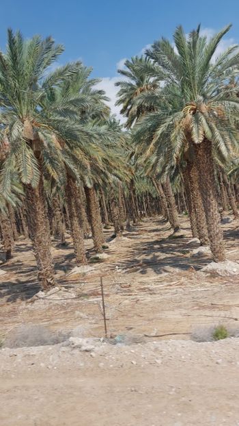  - 2022 - Ierusalim - Yad Vashem - album 3