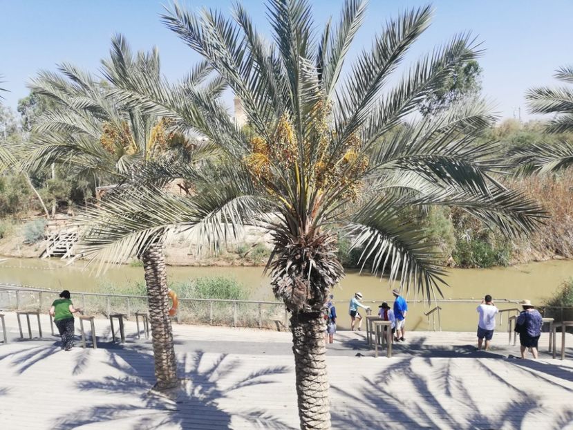 62d49e72-9d8d-475a-887d-c8be9c0cb680 - 2022 - Ierusalim - Yad Vashem - album 3