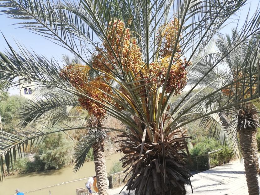  - 2022 - Ierusalim - Yad Vashem - album 3