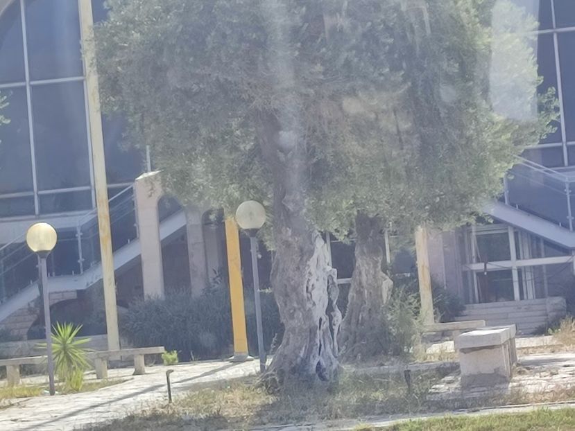  - 2022 - Ierusalim - Yad Vashem - album 3