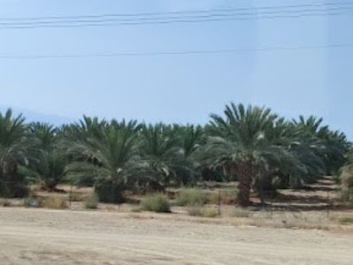  - 2022 - Ierusalim - Yad Vashem - album 3