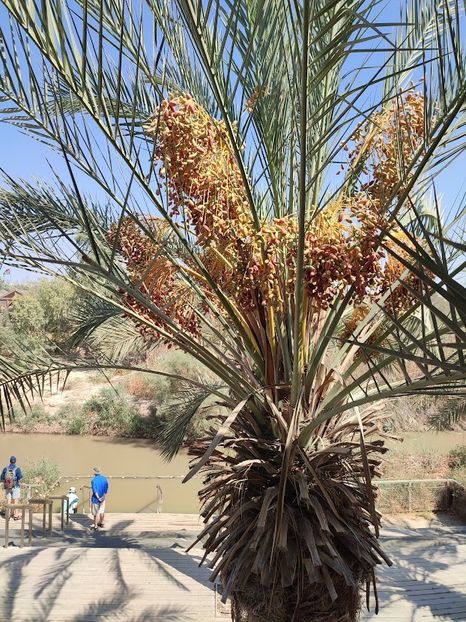  - 2022 - Ierusalim - Yad Vashem - album 3
