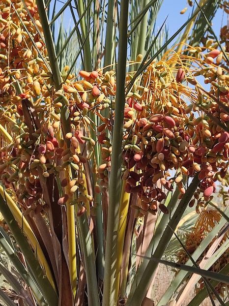  - 2022 - Ierusalim - Yad Vashem - album 3