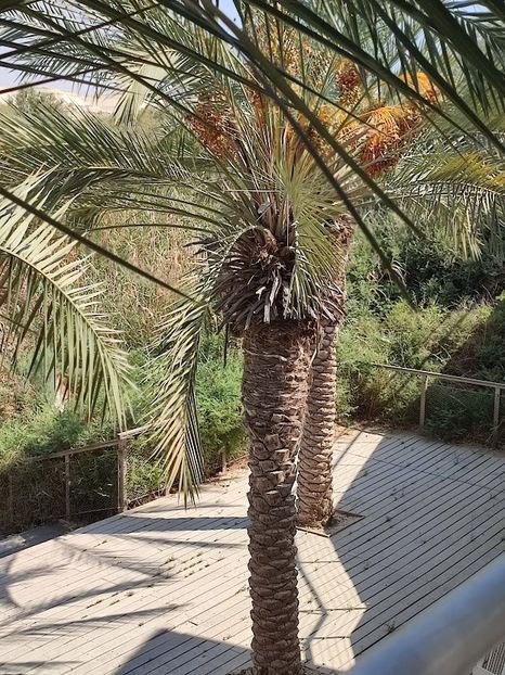  - 2022 - Ierusalim - Yad Vashem - album 3