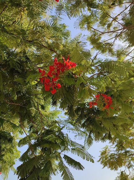  - 2022 - Ierusalim - Yad Vashem - album 3