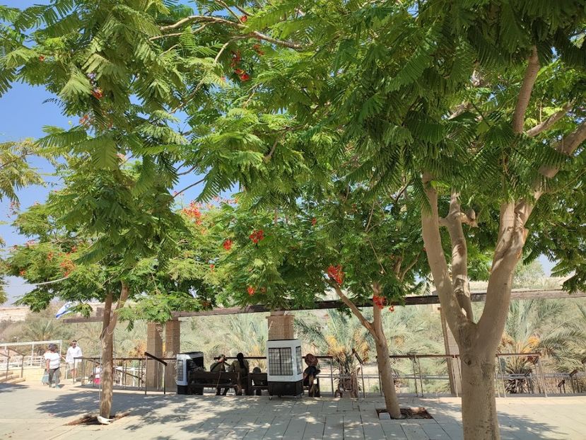  - 2022 - Ierusalim - Yad Vashem - album 3