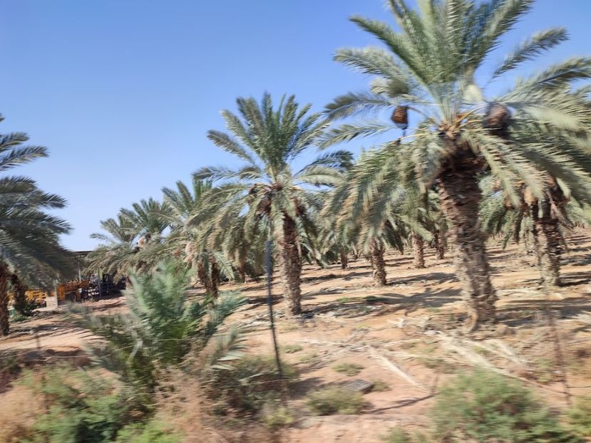  - 2022 - Ierusalim - Yad Vashem - album 3