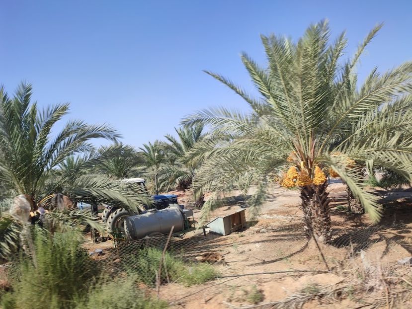  - 2022 - Ierusalim - Yad Vashem - album 3