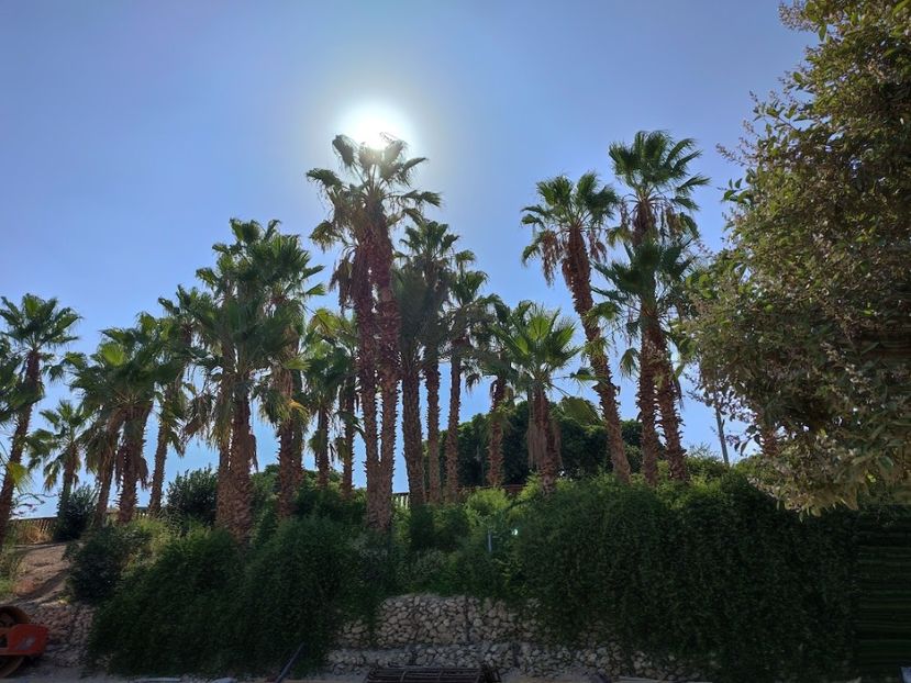  - 2022 - Ierusalim - Yad Vashem - album 3