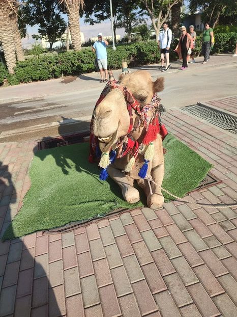  - 2022 - Ierusalim - Yad Vashem - album 3