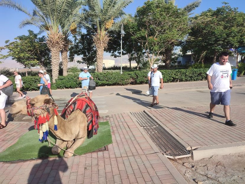  - 2022 - Ierusalim - Yad Vashem - album 3