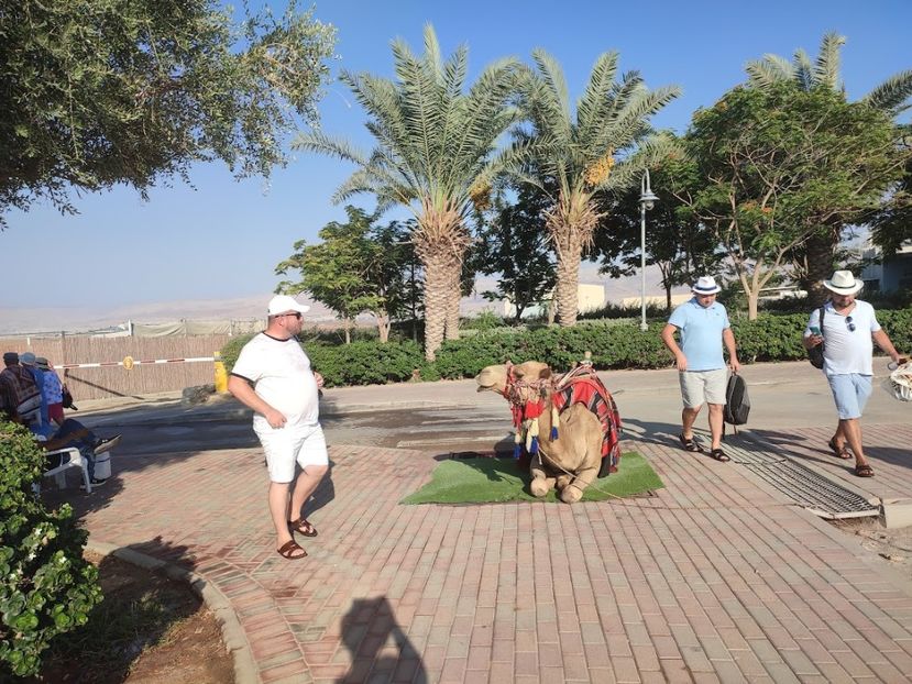  - 2022 - Ierusalim - Yad Vashem - album 3