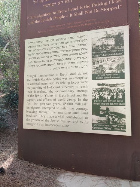 9e65c5e0-54df-4674-a898-25d67af038ad - 2022 - Ierusalim - Yad Vashem - album 4