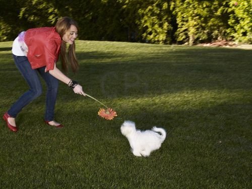 miley si canele ei (3) - miley si cainele ei