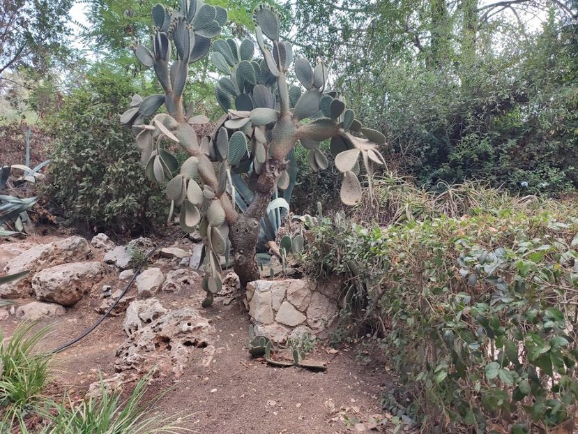  - 2022 - Ierusalim - Yad Vashem - album 4