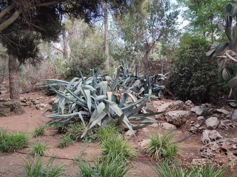  - 2022 - Ierusalim - Yad Vashem - album 4