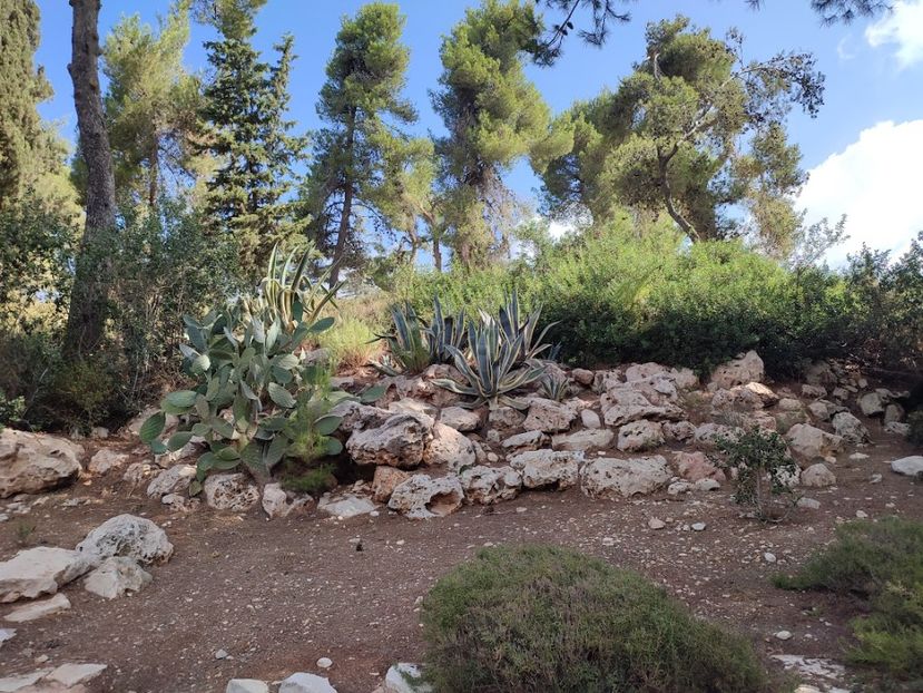  - 2022 - Ierusalim - Yad Vashem - album 4