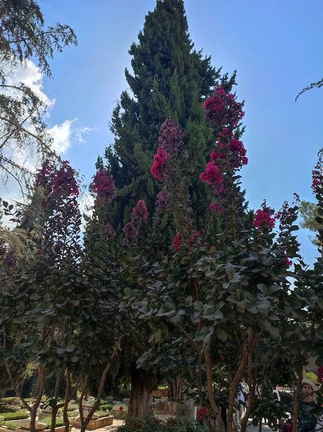  - 2022 - Ierusalim - Yad Vashem - album 4