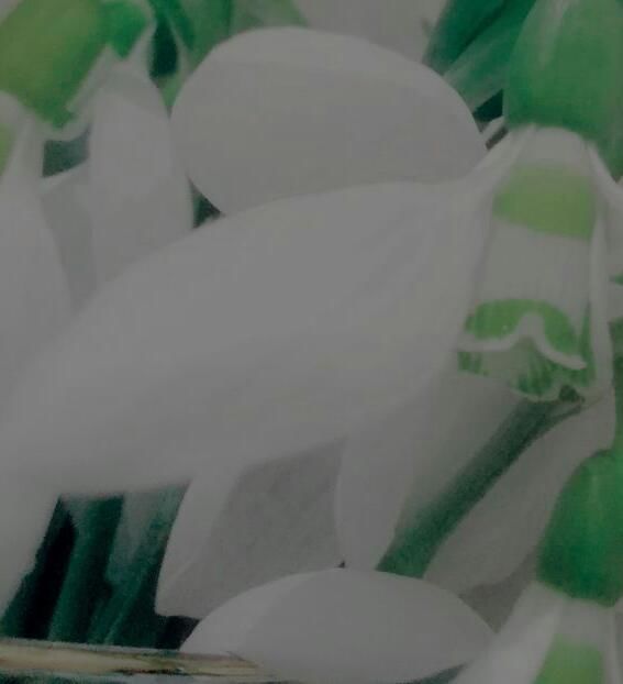 114884386_RHKQQQD3-1 - decor