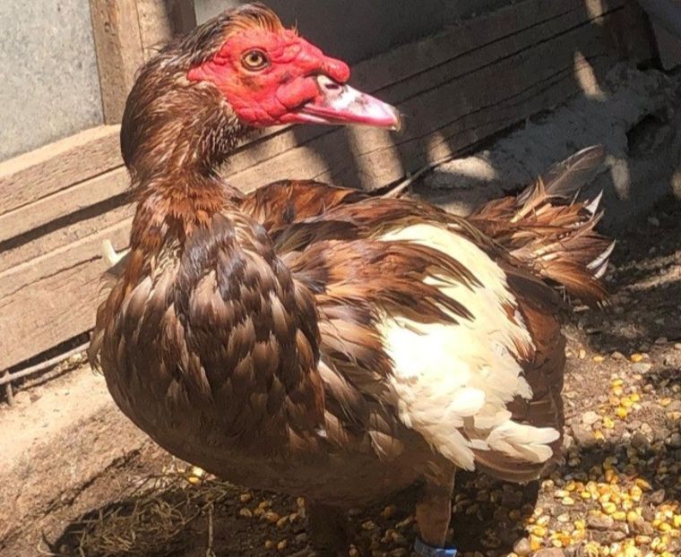 Screenshot_20220823-192420_WhatsApp - 0001 matca 2022 lot 1