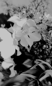 115149554_ZMWPBDG3-1 - decor