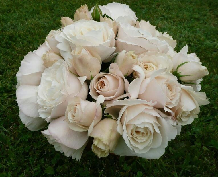 115153584_ZGLXMUA3-1 - decor