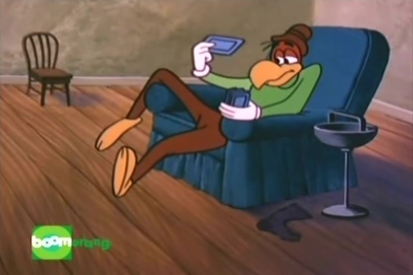 Ciocanitoarea Woody - Ciocanitoarea Woody