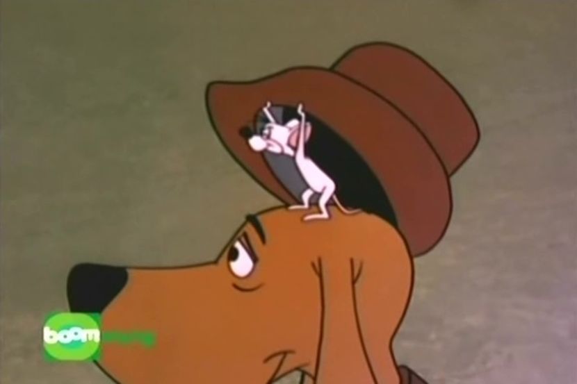 Ciocanitoarea Woody - Ciocanitoarea Woody